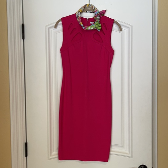 🌺 Diane von Furstenberg; STUNNING Fuschia Dress 0 - Picture 9 of 16